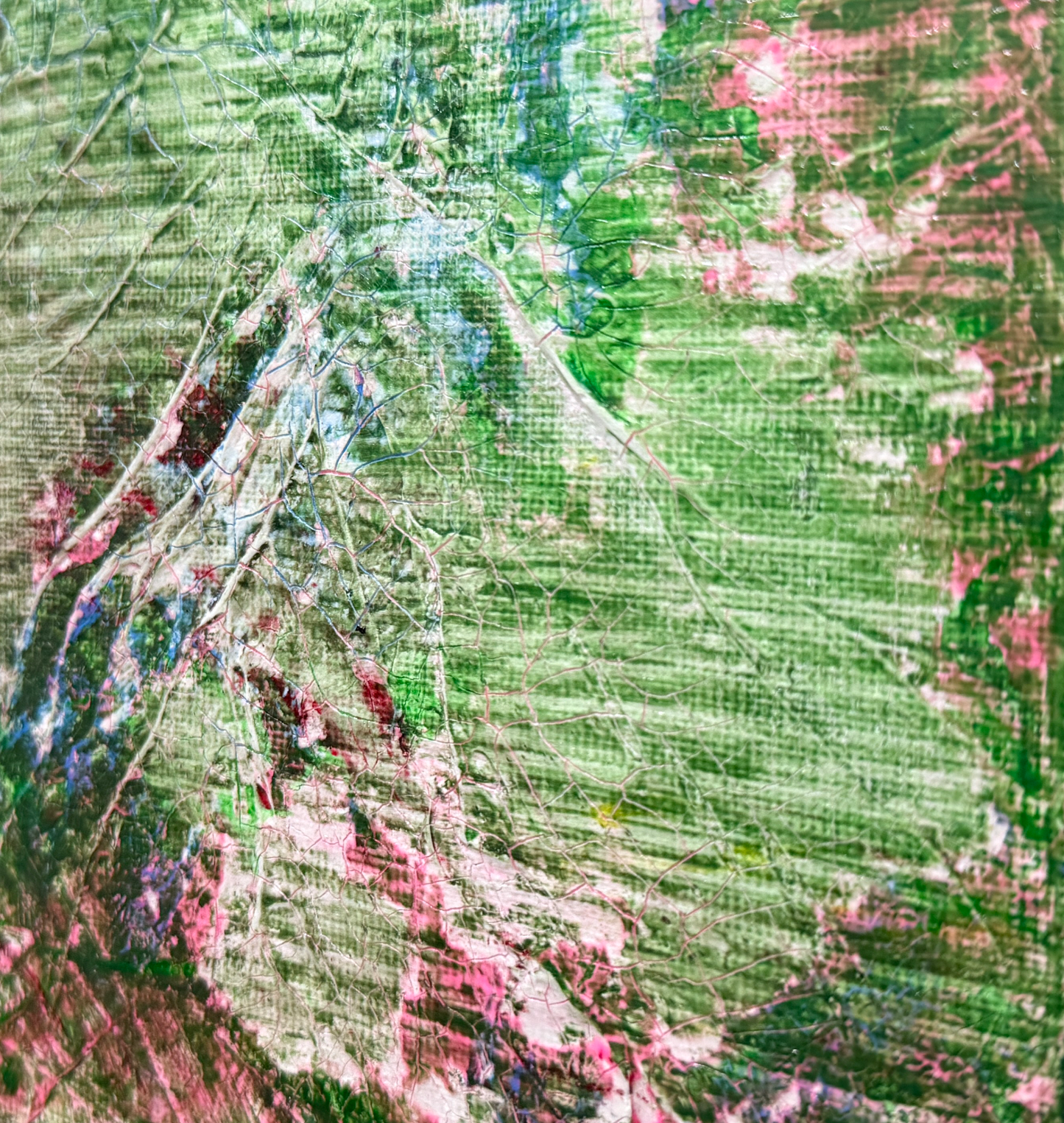 大自然｜Nature