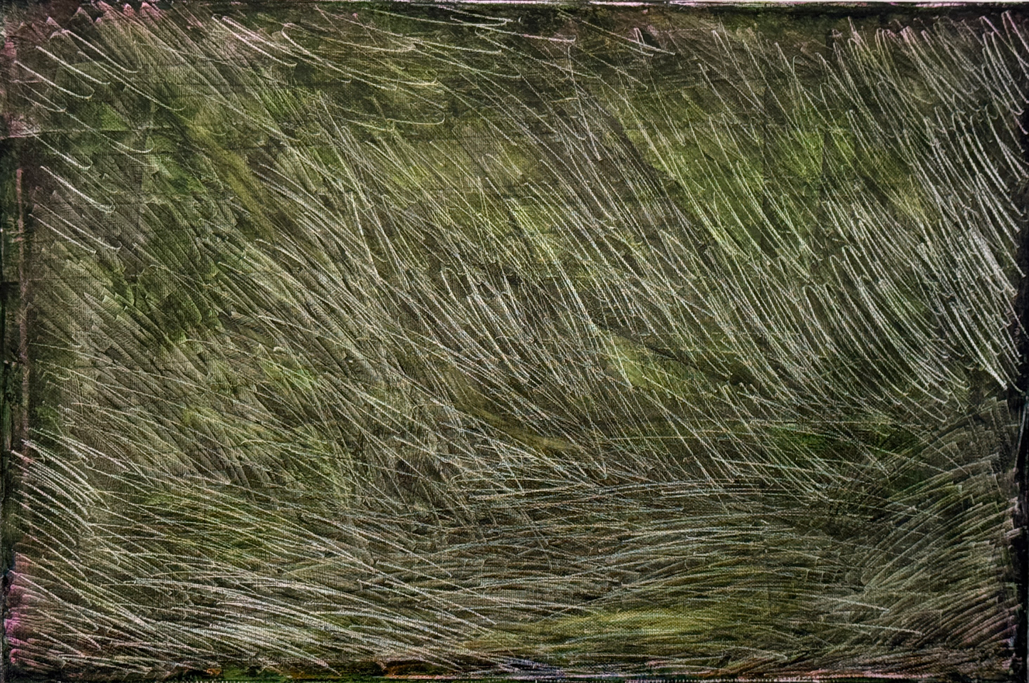 野草Weed