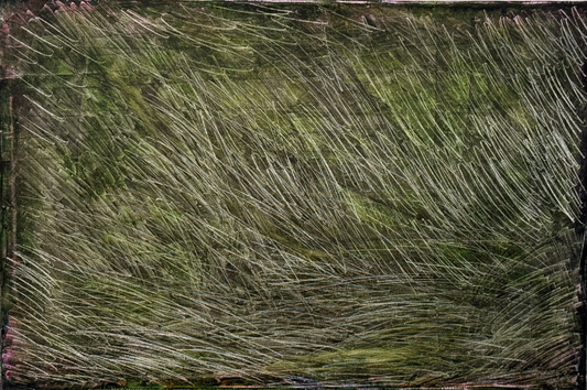 野草Weed